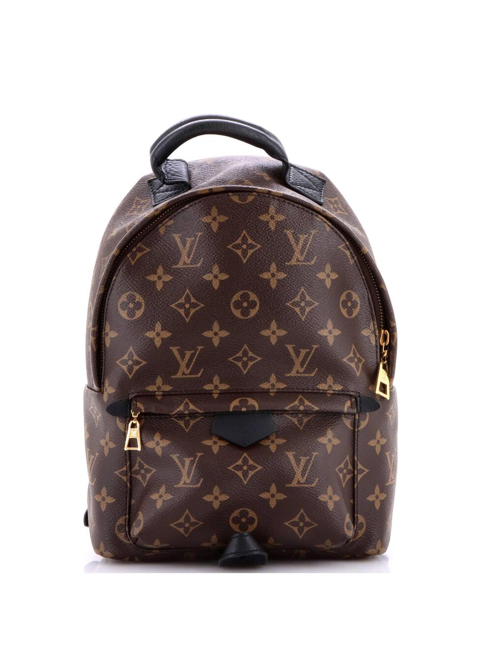 Louis Vuitton Palm Springs Backpack #372703L19B